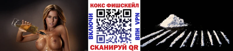 shop какой сайт  гидра зеркало  Каменск-Шахтинский  КОКАИН Fish Scale 
